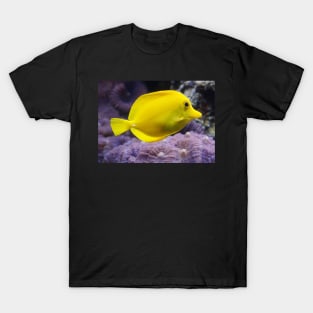 YELLOW REEF FISH IN ALL IT'S GLORY IN THE BLUE OCEAN DESIGN T-Shirt